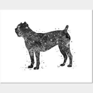 Cane corso dog black and white Posters and Art